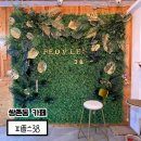 피플스38 이미지