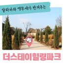 나인동물의료센터 | 알파카와 앵무새를 볼 수 있는 한국의 유럽_더 스테이 힐링파크