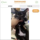 짱구네동물병원 이미지