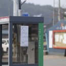 일월붕어빵