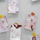 더조은동물병원 | 범서동물병원, &#39;이런 곳&#39;이라면 믿고 맡기셔도 됩니다.