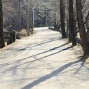 하늘재길 이미지