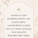 머트리 | 역 시머트리스파에서 경험한 강남안면 균형 케어 후기_ 비대칭 고민부터 윤곽 라인 변화까지 만족...