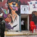 THE DOG SALON 이미지