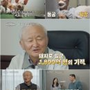 이웃집돼지