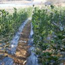 생명농장 이미지