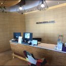 맘편안치과의원 이미지