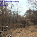 칠악골천 네이버블로그