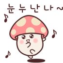 기흥전자담배추추베이프