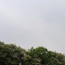 교동어린이공원 이미지