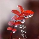 오늘은왠지
