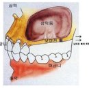 웰치과의원 이미지