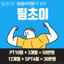 팀초이 이미지