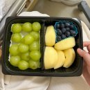 pet21라0908 | 점액성 난소암1기C_1/28_3차 항암 (파클리탁셀 + 카보플라틴)_항암은 밥심