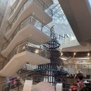 밀라노피자 | 여의도 IFC몰 화덕피자맛집 더플레이스 / 하프앤하프 피자 &amp; 밀라노 상상 페일 낮맥 후기