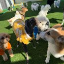 (주) 공간도기