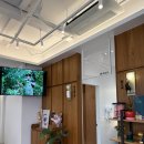 선사농원 | 직접 재배한 열대과일로 주스를 만들어 주는 곳이 있다?! ‘미래팜 열대과일 관광농원’ 내돈내산 솔직후기