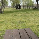 삼락김밥 이미지