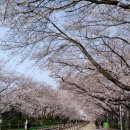 두산수정공인중개사사무소 이미지