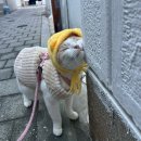 혜성체육관 | 12월 일기❄️