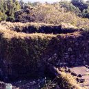 천미연대 이미지