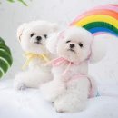 포동운동장 이미지