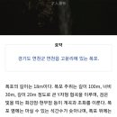 문사