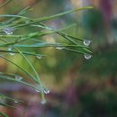 민행정사사무소 이미지