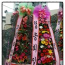 에코카프라자 이미지