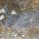 스타펠리스앞 이미지