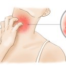 와인피부과의원 이미지