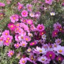 남성현출장소 이미지