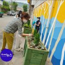 관교동 주민센터 이미지