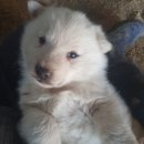 풍산농원 이미지