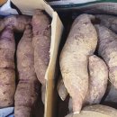 철주농장 이미지