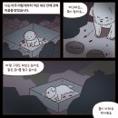 인스타툰 작가인 지인분께서 스벅이의 이야기를 예쁘게 그려주셨어요. 이미지