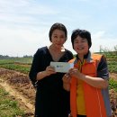 이화여자대학교 국제대학원 이미지