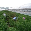 김성수 농장 이미지