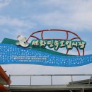 세화민속오일시장 이미지