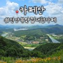 산이있는 풍경 | 충북 단양 가볼만한곳, 부모님과 재방문한 뷰맛집 카페산 후기