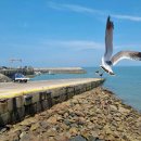 방아머리로 이미지