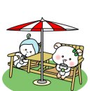 청솔로스 이미지