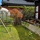 한옥녹턴 율동 이미지