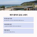 오션뷰 이미지