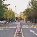 신현대마트 네이버블로그