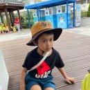 월산4동 주민센터 이미지