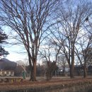 금동초등학교 이미지