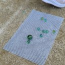 성당초교 이미지