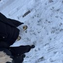 명지더봄안과의원 | 성공적인 임봉사 프로젝트 | 지에스안과 | 스마일라식