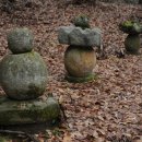 도림사 오토캠핑장 이미지